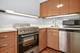 300 N State Unit 2404, Chicago, IL 60654