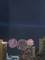 1360 N Sandburg Unit 2902-04C, Chicago, IL 60610