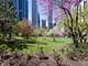 201 N Westshore Unit 2008, Chicago, IL 60601
