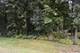 Lot 9 Shade Tree, Lakewood, IL 60014
