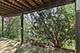 218 N Shore, Oakwood Hills, IL 60013