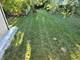 416 S Summit, Barrington, IL 60010