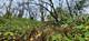 2880 Gateway Gorge, Morris, IL 60450