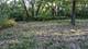 2880 Gateway Gorge, Morris, IL 60450