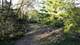 2880 Gateway Gorge, Morris, IL 60450
