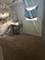 906 Chippewa, Carpentersville, IL 60110