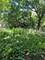7533 S Ingleside, Chicago, IL 60619