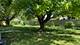 506 Madison, Joliet, IL 60435