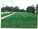 1003 Oxford, Downers Grove, IL 60516