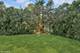 850 S Parkside, Elmhurst, IL 60126