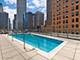 4 E Elm Unit 6S, Chicago, IL 60611