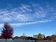 2174 Chestnut Unit D, Des Plaines, IL 60018