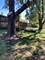 229 Mccain, Des Plaines, IL 60016