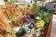2717 W Adams, Chicago, IL 60612