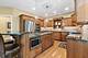 219 Burr Oak, Elgin, IL 60124
