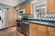 1419 S Ashland, Park Ridge, IL 60068