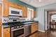 1419 S Ashland, Park Ridge, IL 60068