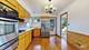 732 Luau, Des Plaines, IL 60016