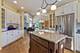 20631 Settlers, Frankfort, IL 60423