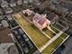 9941 S Lowe, Chicago, IL 60628