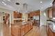 2 Dani, Schaumburg, IL 60173