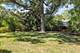 975 Creekside, Naperville, IL 60563