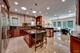 3 Arcadia, Burr Ridge, IL 60527