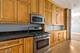 2202 W Granville Unit 1, Chicago, IL 60659