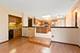 14542 S Pheasant, Homer Glen, IL 60491