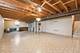 14542 S Pheasant, Homer Glen, IL 60491