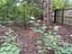 1351 N Sheridan, Lake Forest, IL 60045
