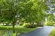6N004 Westwood, St. Charles, IL 60175