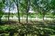 353 Hogan, Bolingbrook, IL 60490