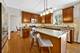 353 Hogan, Bolingbrook, IL 60490