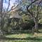 719 N Cedar, New Lenox, IL 60451