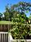 108 Meadowlark, La Grange, IL 60525