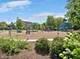 1740 N Marshfield Unit 10, Chicago, IL 60622