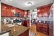 3913 Birchwood, Skokie, IL 60076
