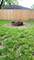 453 Lakewood, Park Forest, IL 60466