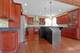 15509 Jeanne, Homer Glen, IL 60491