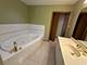 18447 Lakeview Cir East, Tinley Park, IL 60477