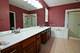12166 Latham, Huntley, IL 60142