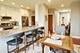 140 N Euclid Unit 507, Oak Park, IL 60302