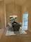 6423 Pine Unit 3, Tinley Park, IL 60477
