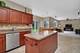 14633 Meadow, Plainfield, IL 60544