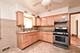 11841 S Campbell, Chicago, IL 60655