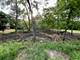 22 N Columbine, Lombard, IL 60148