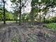 22 N Columbine, Lombard, IL 60148