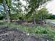 22 N Columbine, Lombard, IL 60148