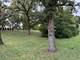 24858 W Lake Forrest, Shorewood, IL 60404
